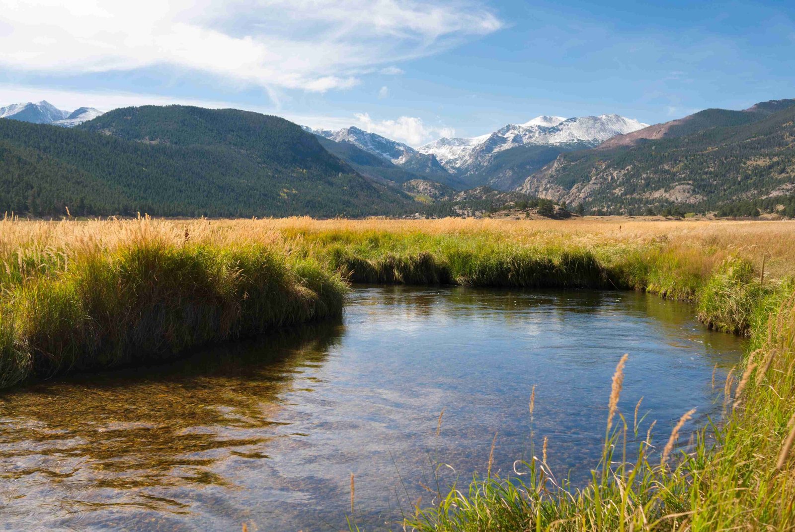 visitors feeding wildlife in rocky mountain national park