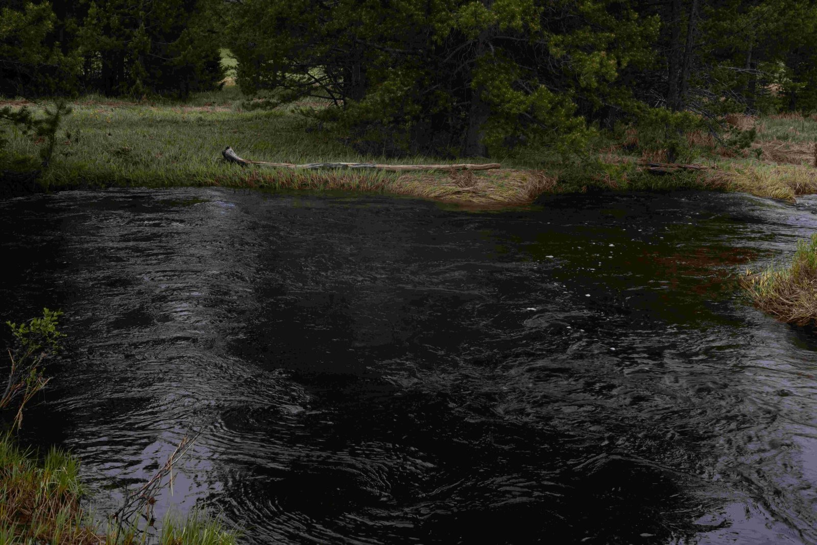 rocky mountain national park hiking areas near lakes